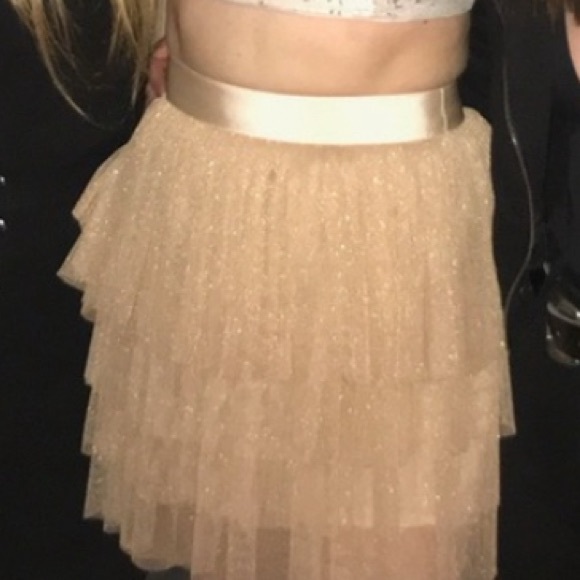 Pink and Gold Tulle Shimmer Skirt - Picture 7 of 9